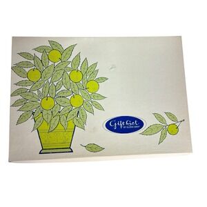 Vintage Gloria Gray‎ Pillowcase Gift Set New Sealed Pink Embroidered Lace Floral